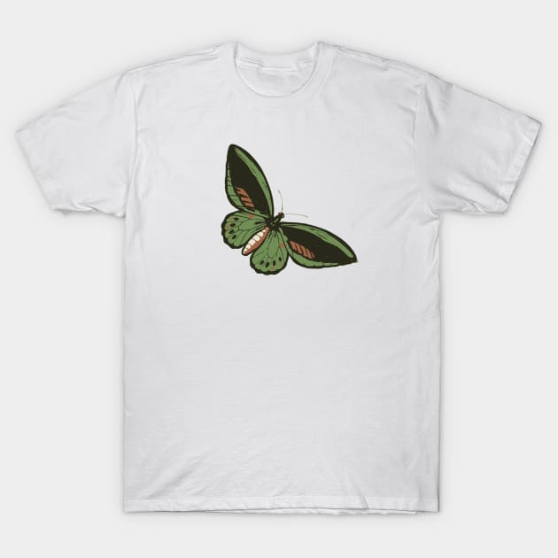 Butterfly T-Shirt by linesdesigns